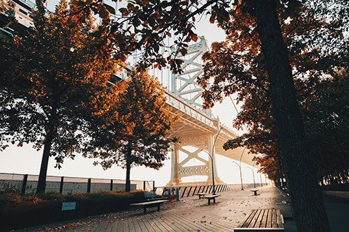 View of trees and the Benjamin Franklin Bridge in Philadelphia