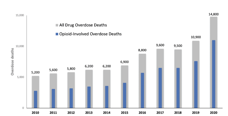 Number of drug overdose deaths among all BCHC cities, with insert bar representing number of deaths involving opioids, 2010-2020