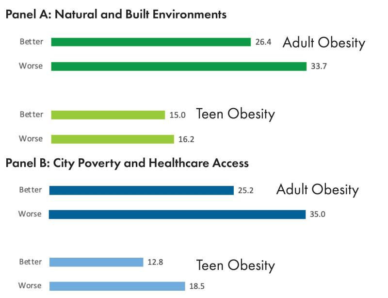 chart comparing natural and built environment to city poverty and healthcare access
