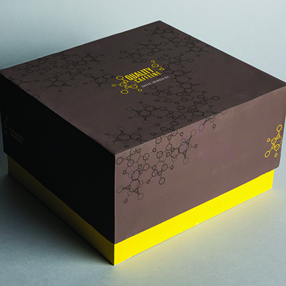 Karen Yee's Quality Caffeine Coffee grinder kit in brown and yellow packaging