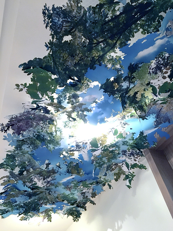 'Canopy', Laser cut Inkjet Prints, Ceiling Installation, 2019