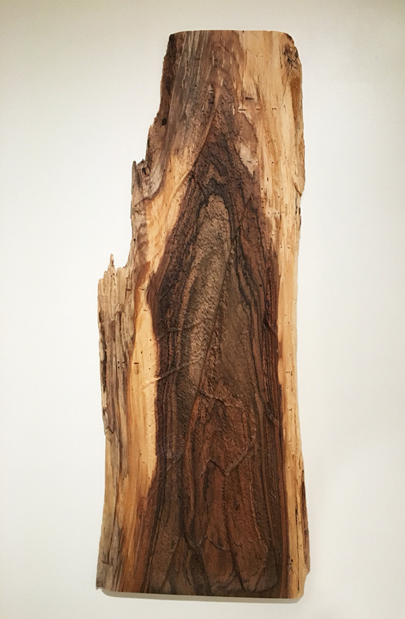   “Slab”, Wooden Photograph, 42' x 20'