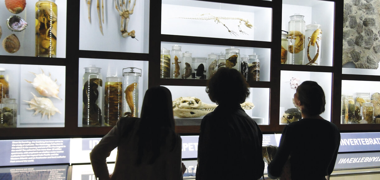 Home Drexel Westphal