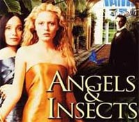 Angels & Insects