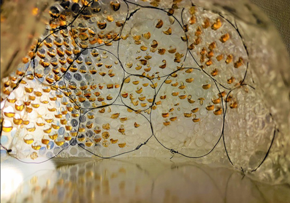 Nicole Koltick image using light and material