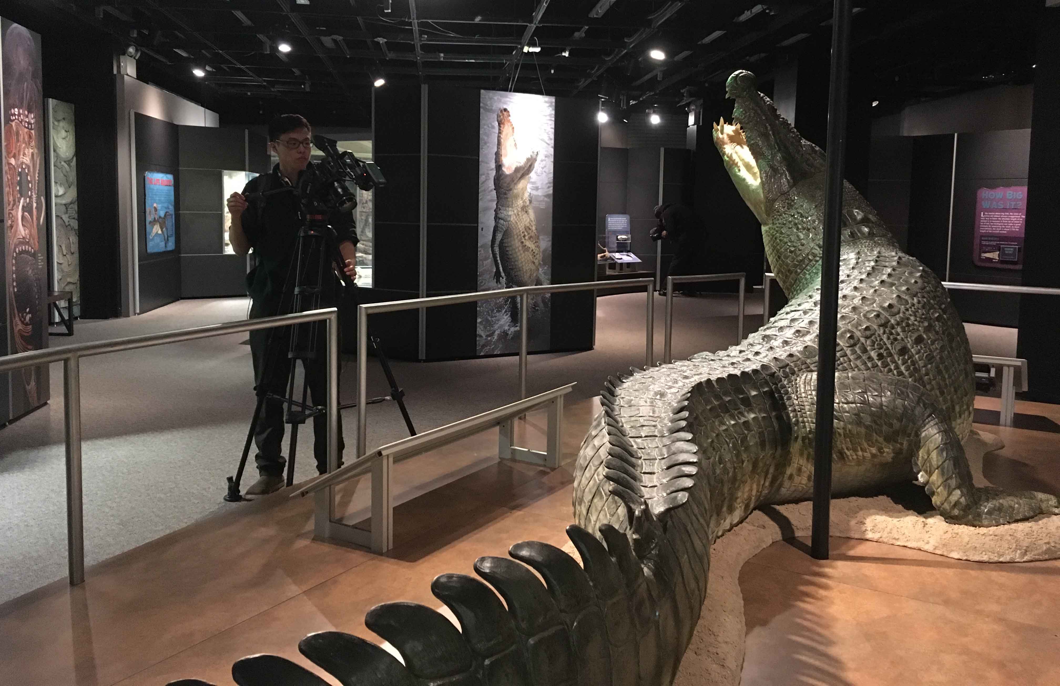 DNews Production Still small