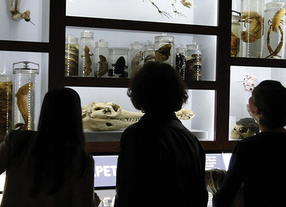 students looking at a museum exhibition 