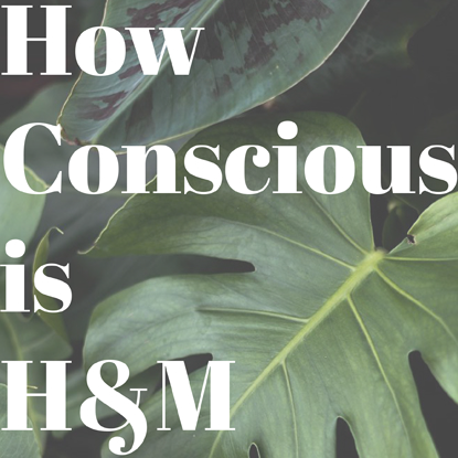 How conscious is H+M?