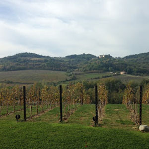 Tuscan Winery
